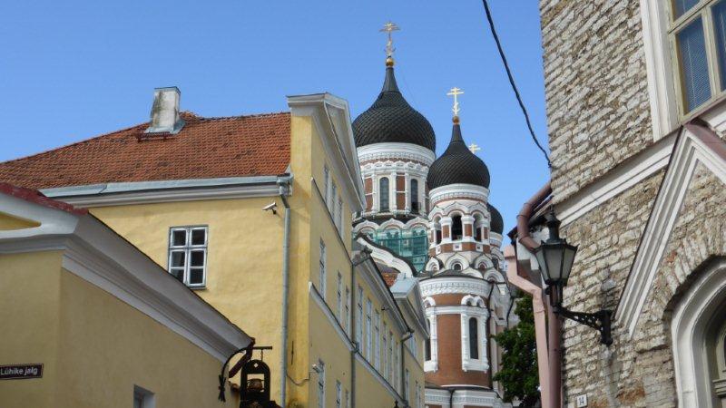 P1000606 - Kopie.JPG